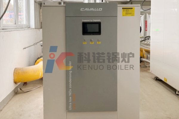 adavnced-industrial-hot-water-boiler-improve-working-efficiency