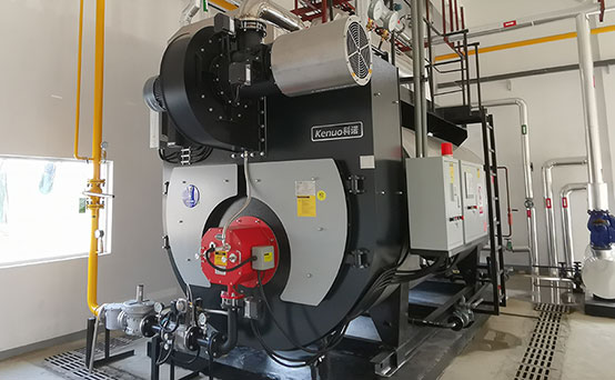 High Efficiency Condensate Recovery Gas Steam Boiler