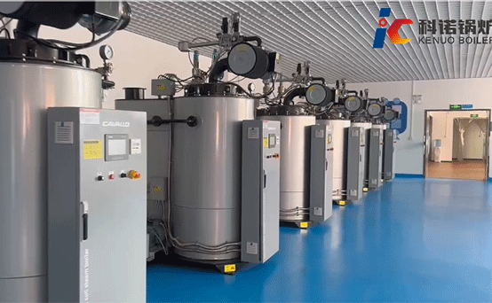 vertical-coil-steam-boiler-6