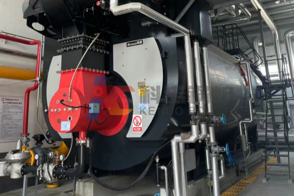 high-efficiency-industrial-boiler-used-in-paper-making-factroy