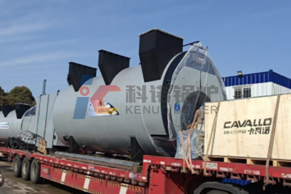 2 Sets of 8.4MW Gas-fired Hot Water Boilers Arrive and Install