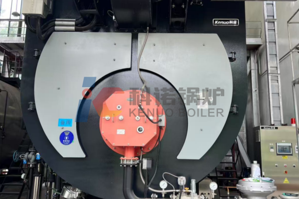 18-ton-steam-boiler-being-used-for-pharmaceutical-production