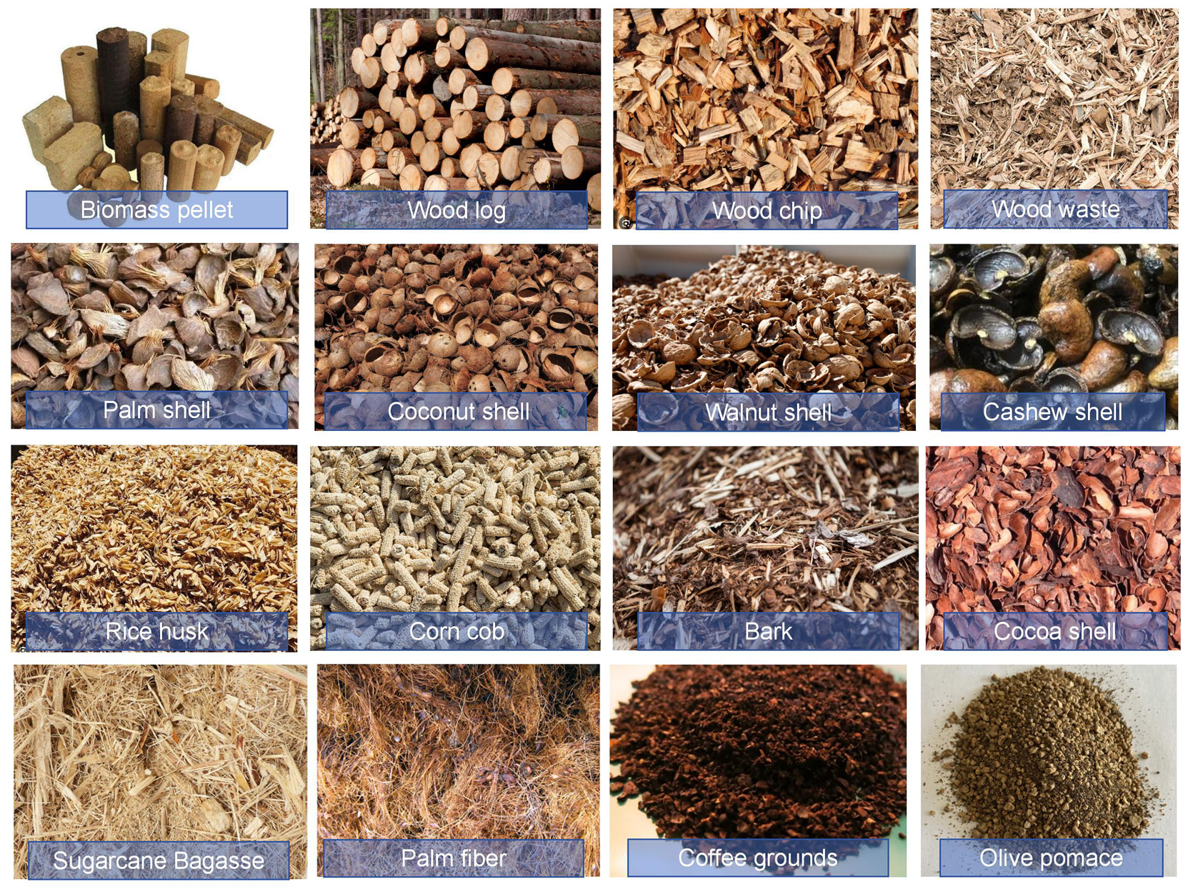 different-biomass-fuels