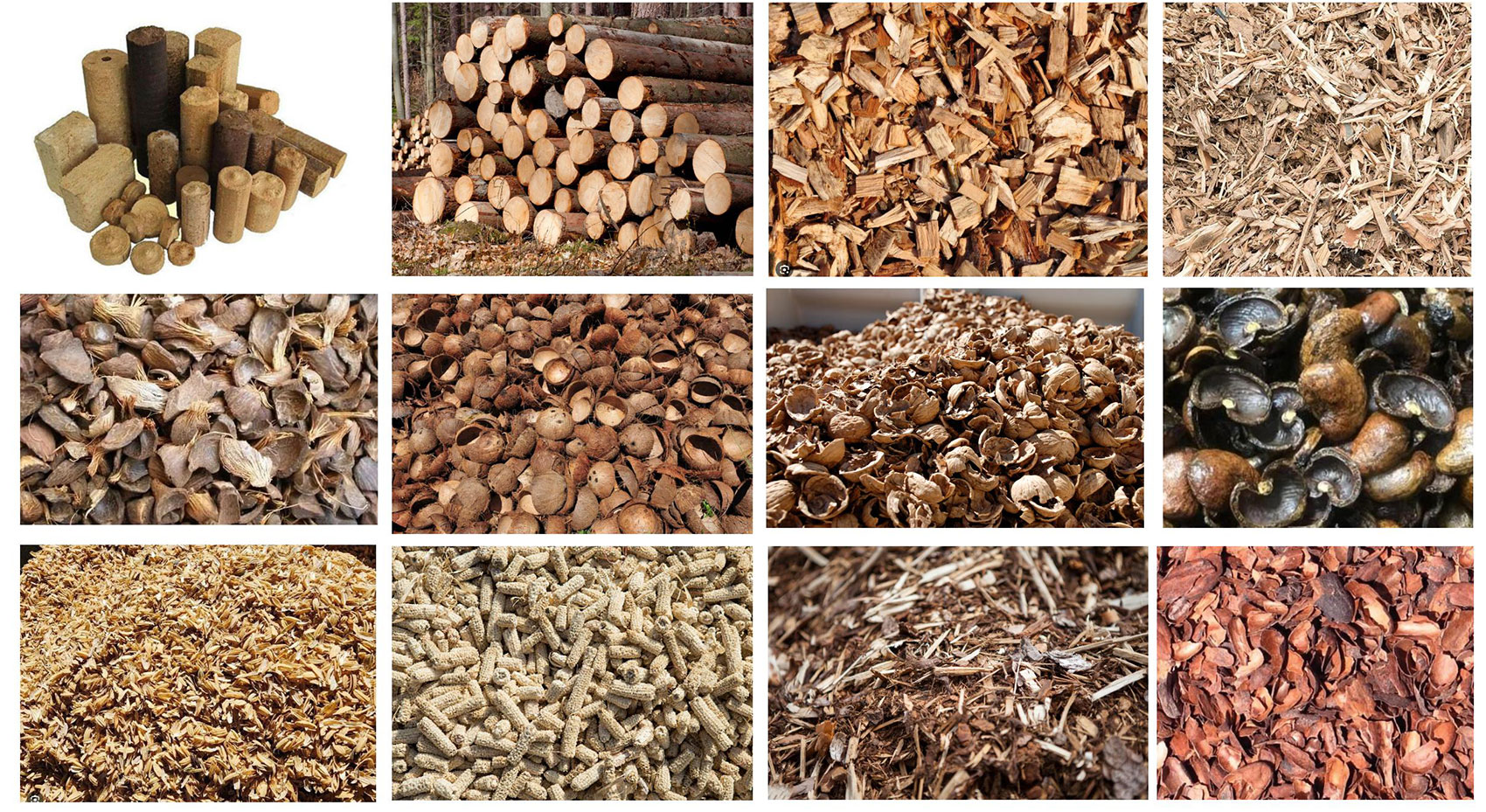 different-type-biomass-fuels