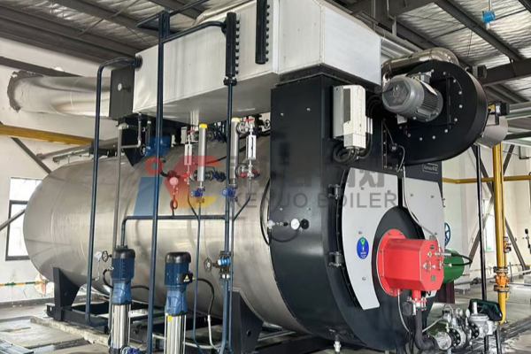 Kenuo-8-ton-Natural-Gas-Fired-Steam-Boiler-for-food-processing-factory