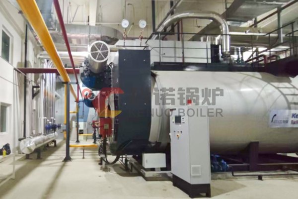 2-sets-12-ton-industrial-boiler-machines-bring-great-performace-to-the-industrial-operation
