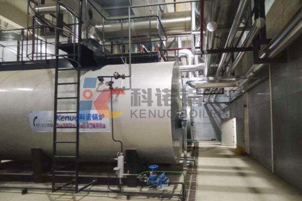 2-sets-12-ton-industrial-steam-boiler-machine-applied-in-pharmaceutical-industry