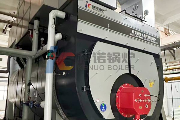 25-ton-industrial-steam-boiler-machine-applied-in-the-food-processing-factpry-of-Master-Kong