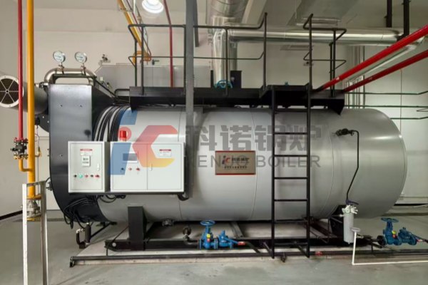 12-Ton and 14-Ton Steam Boilers Deployed in Environmental Engineering Company