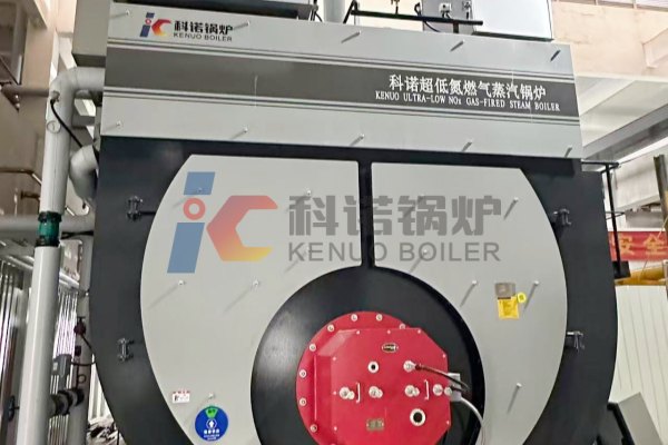 high-efficiency-industrial-steam-boiler-used-in-the-food-production-proicess