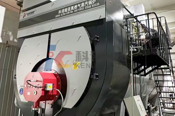 25-Ton Industrial Steam Boiler Commissioned at Master Kong Factory